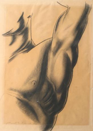 Archive 29 March 2005