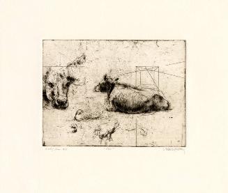 Archive 13Feb2002 Disk#2