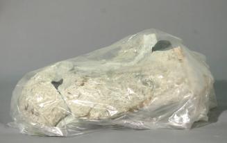 Archive 16 June 2005