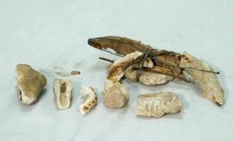 Archive 16 June 2005