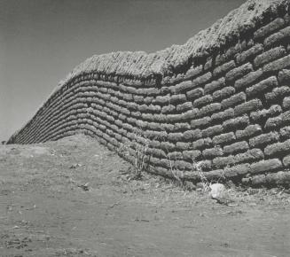 BARDA TIRADA EN UN CAMPO VERDE