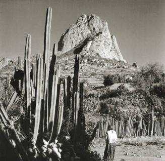 MUJER Y CACTOS AL PIE DE LA PENA DE BERNAL