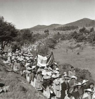 PEREGRINACION EN EL CAMPO