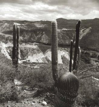 PAISAJE DE METZTITLAN