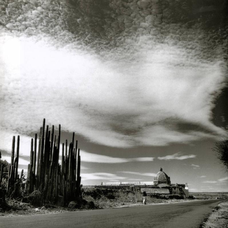 CAMINO CON CACTOS E IGLESIA