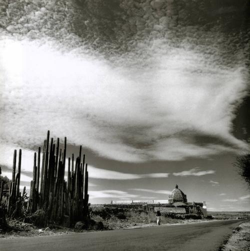 CAMINO CON CACTOS E IGLESIA