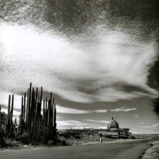 CAMINO CON CACTOS E IGLESIA