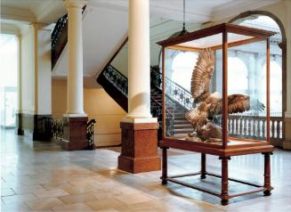 MUSEUM A. KOENIG BONN IV