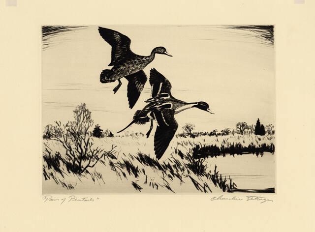 Archive 27Nov2001 Disk#1