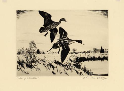 Archive 27Nov2001 Disk#1