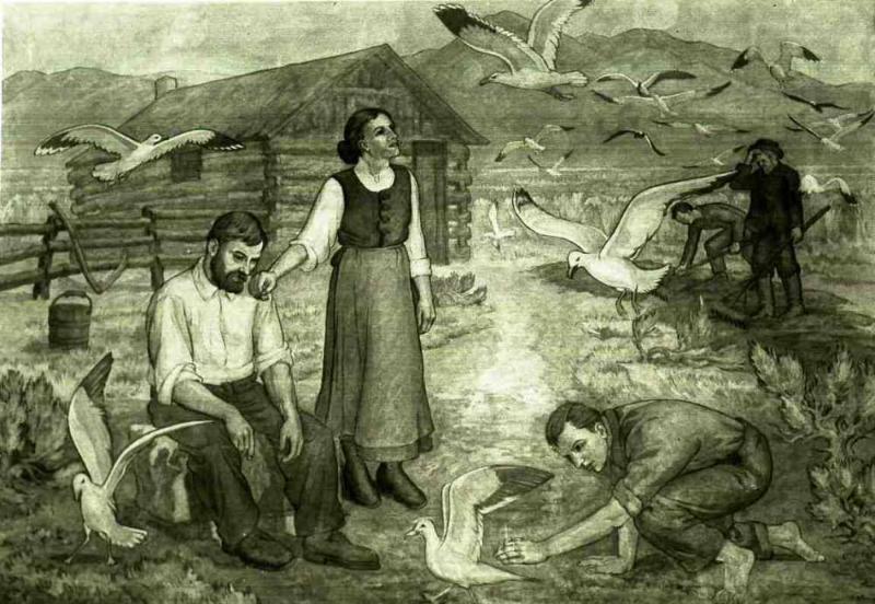 PIONEER FAMILY AND SEAGULLS