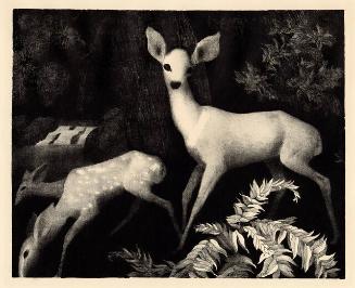 Archive 8Mar2002 Disk#2