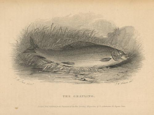 Archive 28June2001 Disk #1