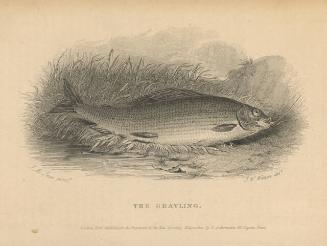 Archive 28June2001 Disk #1