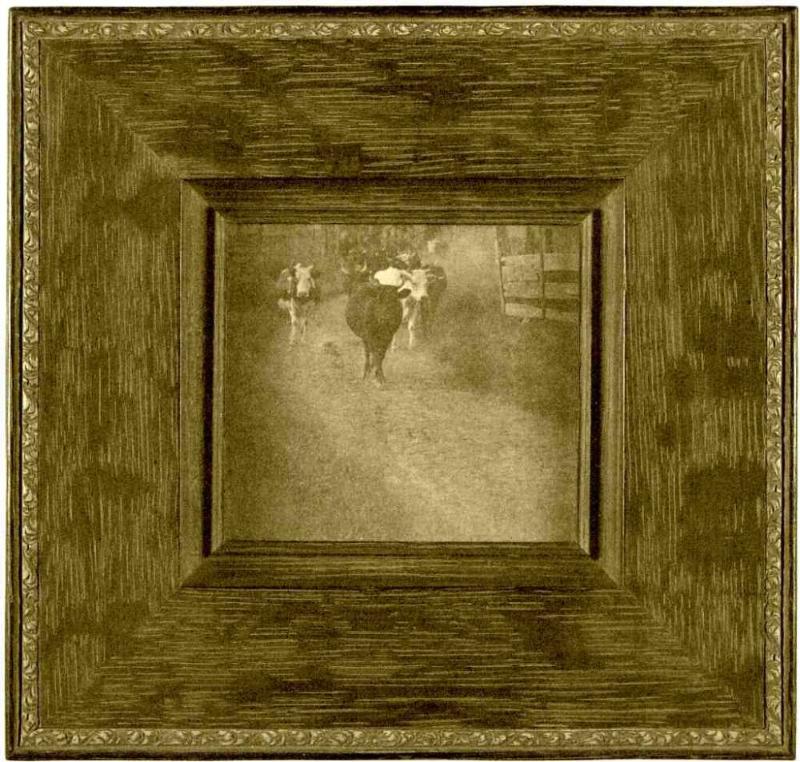 UNTITLED (COWS ON PATH)