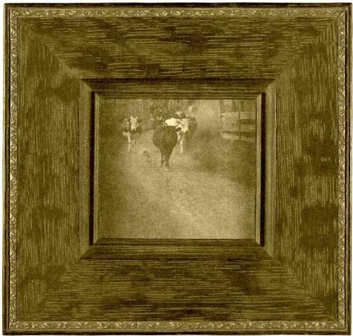 UNTITLED (COWS ON PATH)