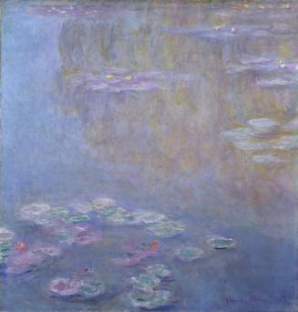 WATERLILIES