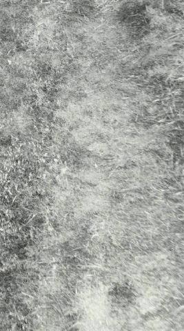 UNTITLED (DETAIL OF GLASS)
