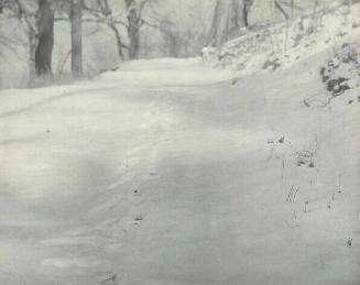 UNTITLED (FOOTPRINTS IN SNOW)