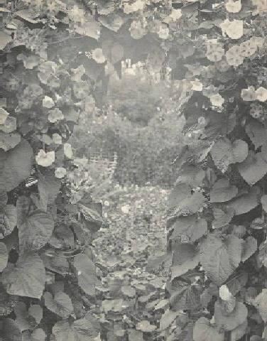 ENTRANCE TO MARY'S GARDEN