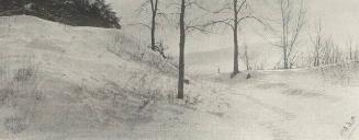 UNTITLED (SNOW ON HILL WITH BEAR TREES)