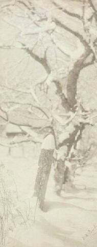 UNTITLED (FENCE POSTS IN SNOW)