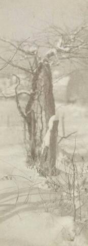 UNTITLED (FENCE POST AND GRASSES IN SNOW)
