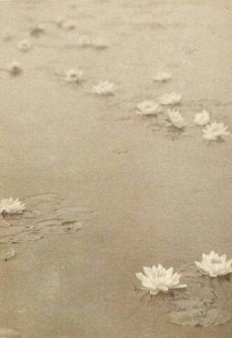 UNTITLED (WATER LILIES)