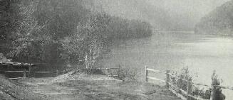 UNTITLED (FENCE AT EDGE OF WOODS)