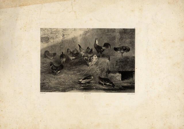 Archive 17Jan2002 Disk#1