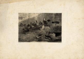 Archive 17Jan2002 Disk#1