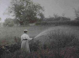 UNTITLED (WOMAN WATERING GARDEN)