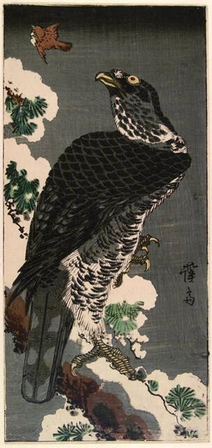 Archive 7June2001 Disk #1