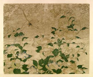 Archive 6June2001 Disk #1