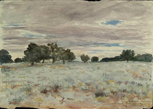 ON THE ROAD TO ZUNI AFTER RAIN