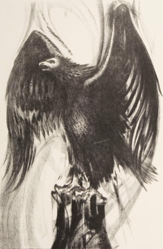 Archive 21 August 2007