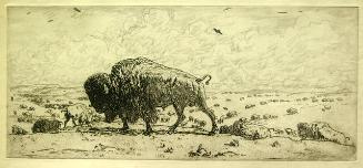 Archive 9Aug2002 Disk #1