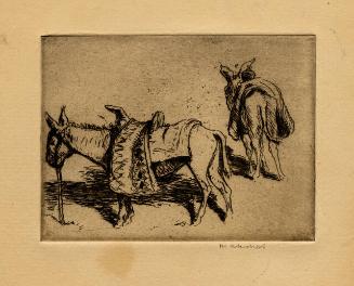 Archive 31July2001 Disk #1