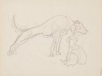 Archive 17 March 2008