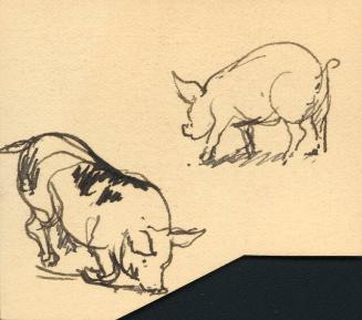 Archive 5Aug2002 Disk #1