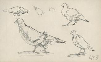 Archive 29June2000 Disk#2