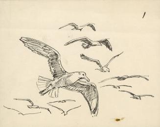 Archive 29June2000 Disk#2