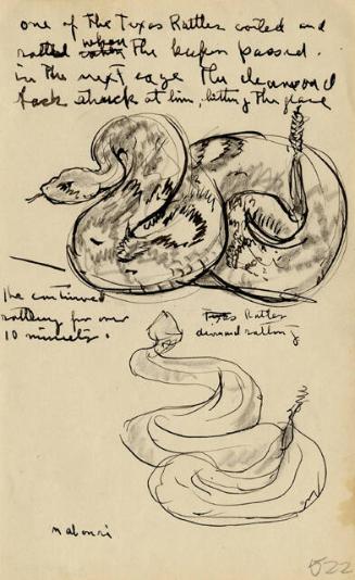 Archive 8Nov2001 Disk#2