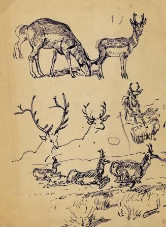 Archive 19April2002 Disk#1