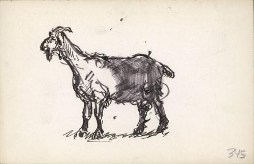 Archive 29June2000 Disk#3