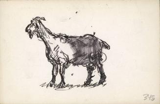 Archive 29June2000 Disk#3