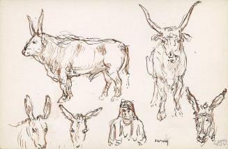 Archive 29June2000 Disk#2