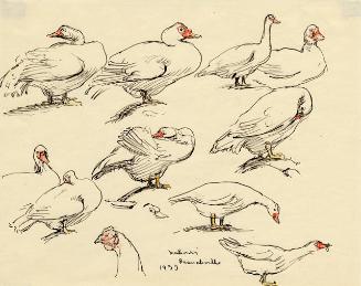 Archive 8Nov2001 Disk#2