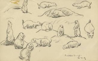 Archive 19May2000 Disk#1