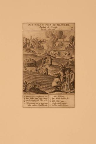 DOMINICA V. POST EPHIPHANIAM-PARABOLA DE ZIZANIJS